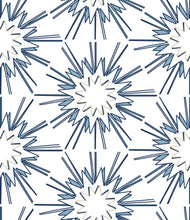 Removable Wallpaper MADE IN USA Peel & Stick Self Adhesive Temporary Blue and white Painted Designer wall paper Powder Room Bath Hexagon