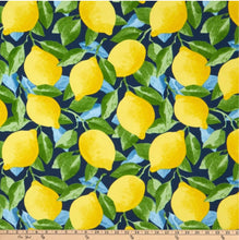 Citrus Outdoor daybed cover mattress cover lemons twin mattress cover outdoor mattress cover day bed porch swing cover citrus garden print